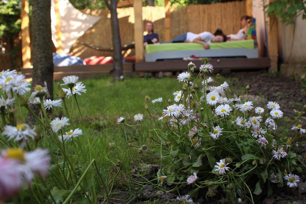 Hostel Costel Тімішоара Екстер'єр фото